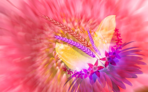 447924 (a): :1920x1200